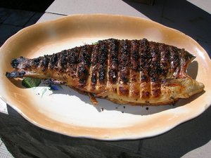 DSCN5848.jpg