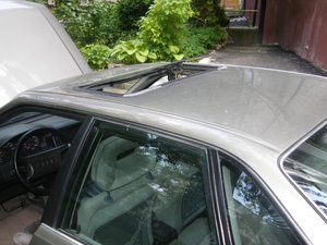 DSCF0487.jpg