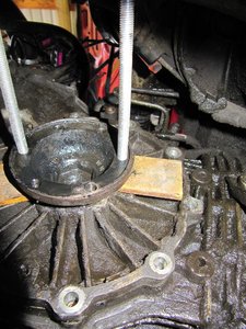 IMG_0415.jpg