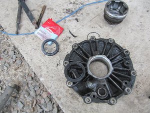IMG_0428.jpg