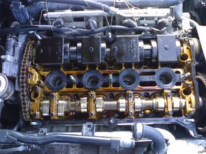 z_6af75f28.jpg