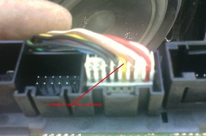 IMG0033A.jpg