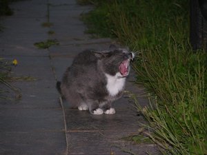 DSCN1702.JPG
