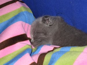 IMG_0471.JPG