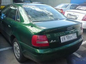 Resize of Resize of ~3707548.jpg