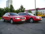 IMGP0136.JPG