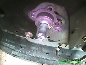PICT0006.JPG