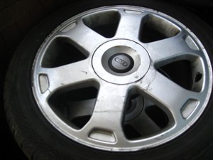 IMG_3795.jpg