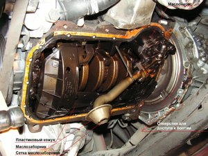 Poddon_016_1.jpg