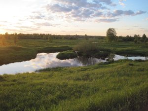 IMG_0056.jpg