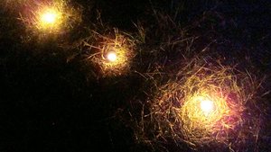 DSC03036.JPG