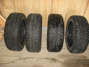 IMG_6019.jpg