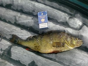 03072011390.jpg