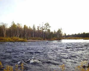 DSC00548.jpg