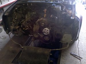 2011-07-06_11-40-11_495.jpg