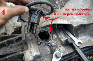 DSC_3810к.jpg