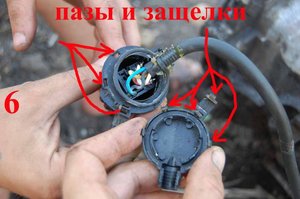 DSC_3814к.jpg