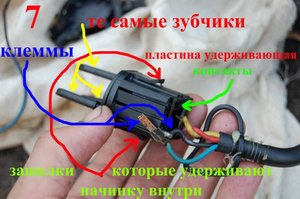 DSC_3817к.jpg