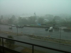 IMG_0395.jpg