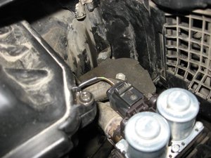IMG_6117.jpg