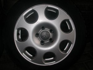 DSCN4447.jpg