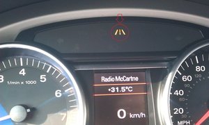 IMAG0256 web.jpg