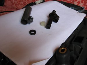IMG_6135.jpg