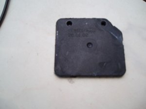 P1018731.jpg