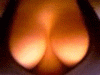 avatar25236_30.gif