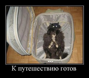 1300318313_demotivatory_08.jpg