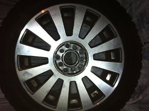 IMG_0323.jpg