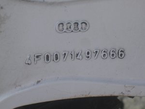 IMG_6039.jpg