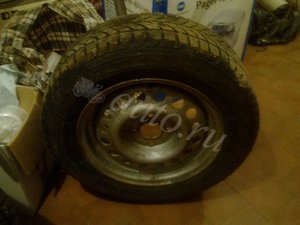 ae498810.jpg