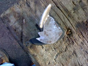 27082011634.jpg