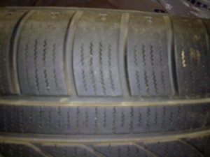 z_664f01d6.jpg
