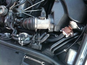 IMG_1050.jpg