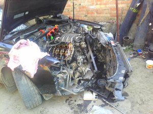 IMG0138A.jpg