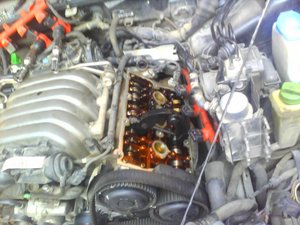 IMG0142A.jpg