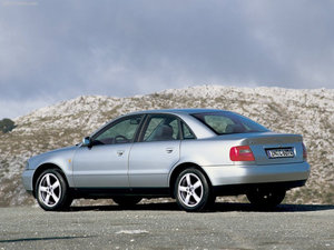 88cd90697ceadbf5-large copy.jpg