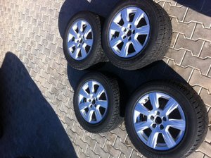 IMG_0866.jpg