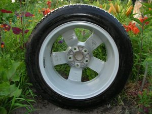 DSCN-шина4.JPG