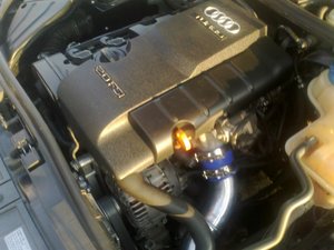 31082011296.jpg