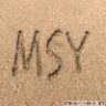 MSY