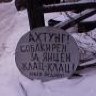 амарок