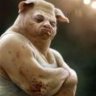 Fat_boy_slim