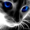avdeev_john