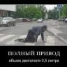 djonibi3