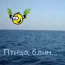 ТрАвМаТоЛоГ