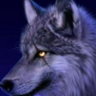 TWolf