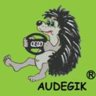 Audegik
